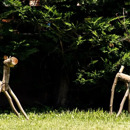 Alexandra Golden Boutique Hotel-adults Only 5* Χρυσή Αμμουδιά